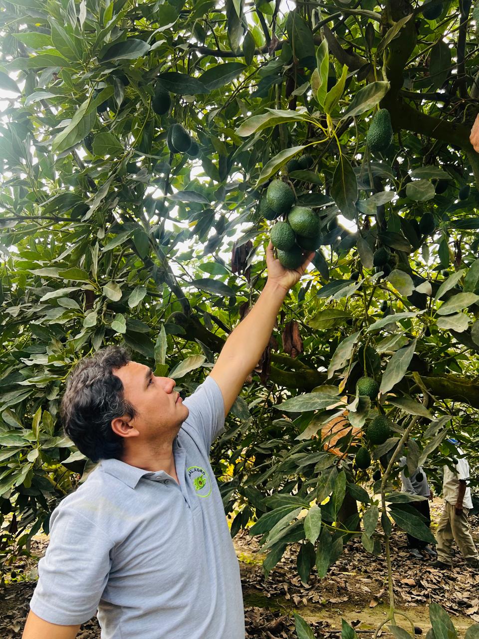 Instalaciones Casbal Agro